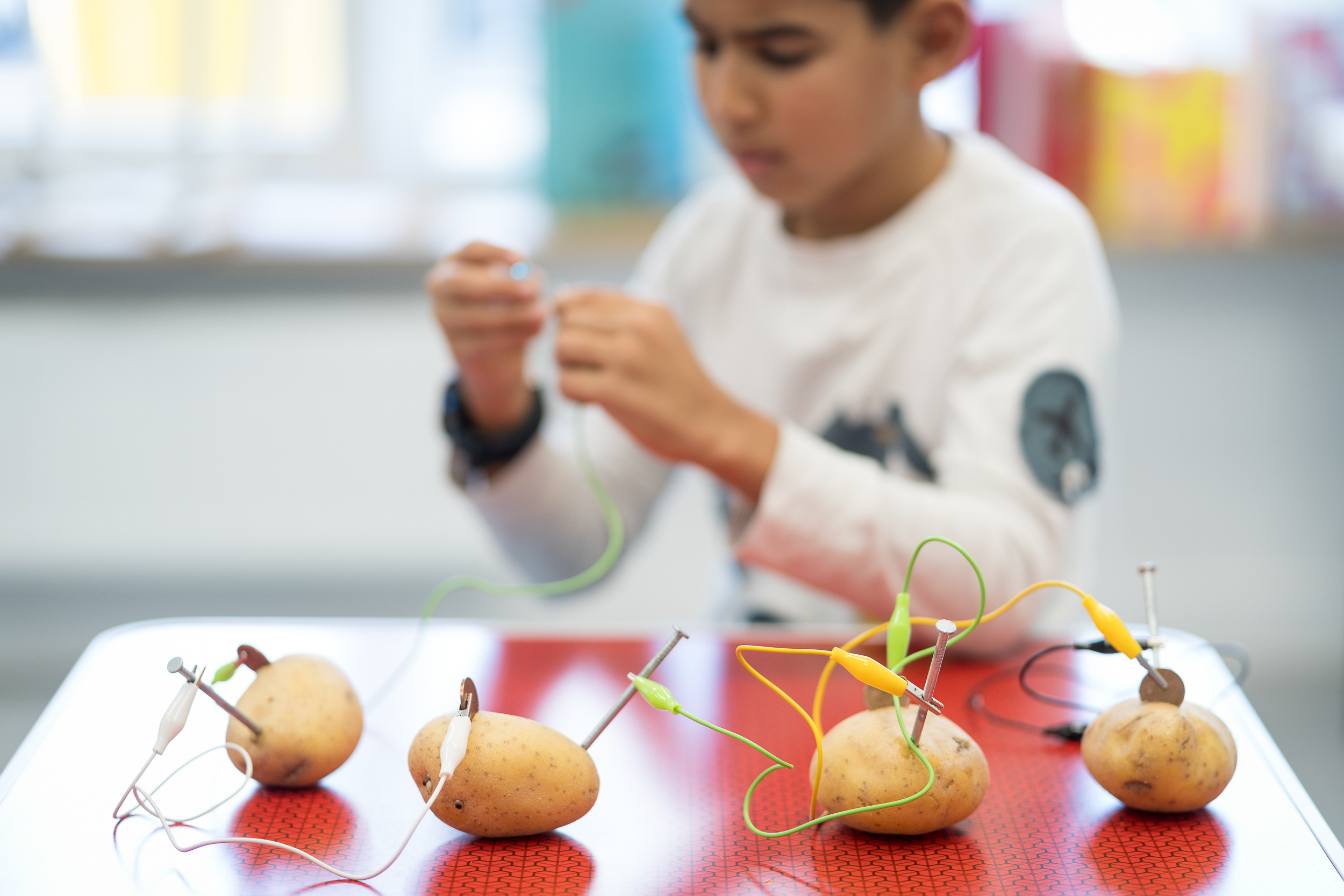 Pommes de terre reliées par des cables électriques