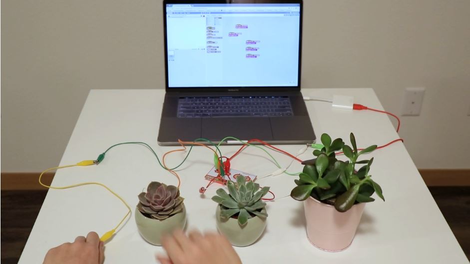 Plante musicale Makey Makey