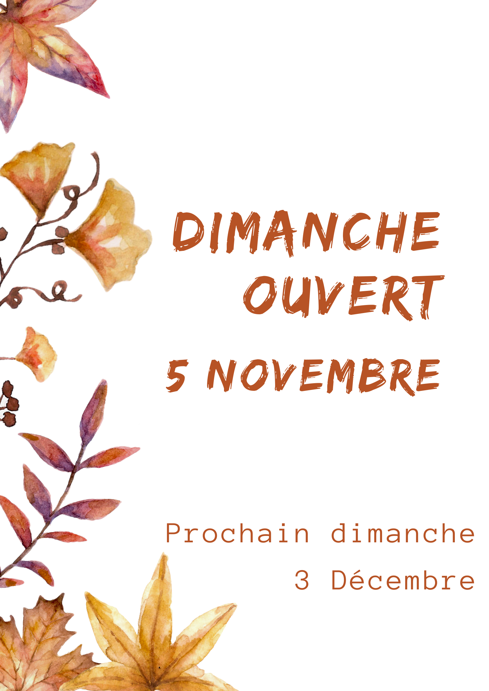 Dimanche 5 novembre la bibliothèque est ouverte