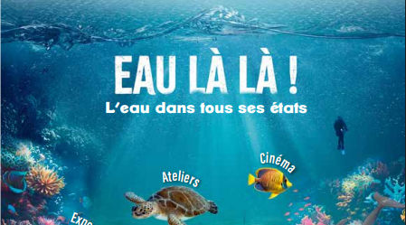 Méduse, poisson, dauphin, affiche du mois des sciences sur la mer