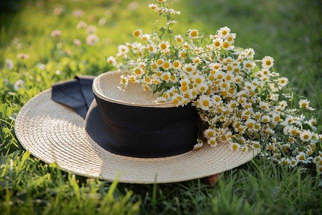 chapeau de paille posé sur une pelouse et envahi par les fleurs