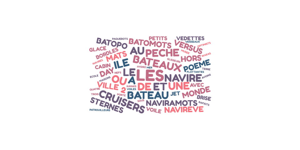 Nuage de mots à partir du Naviramots